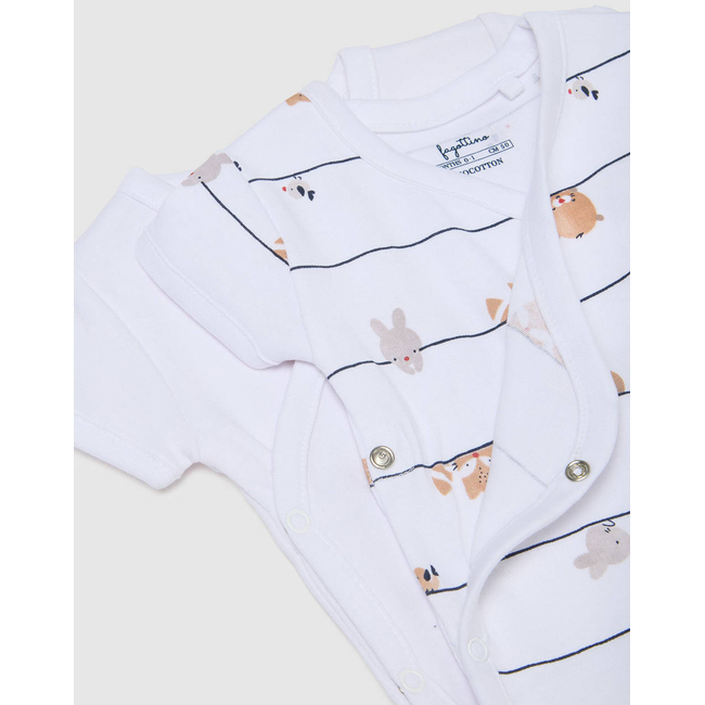 Product OVS PK2 BODY BOY MM base image