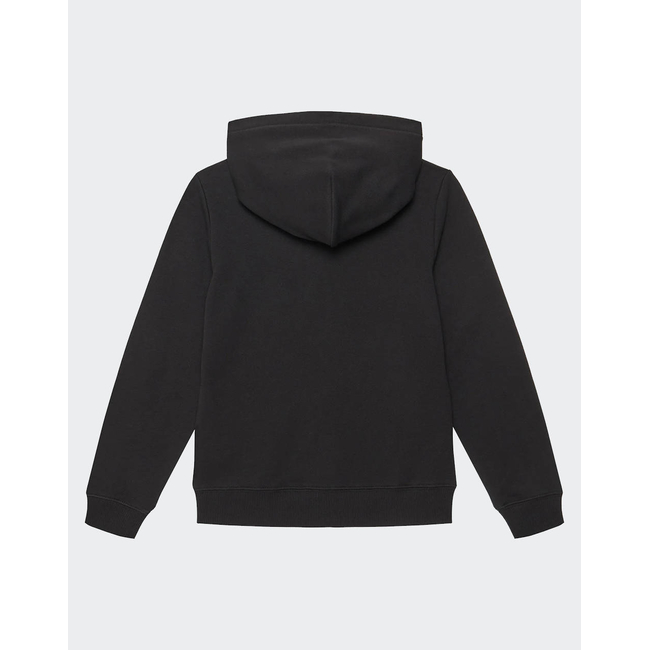 Product CALVIN KLEIN JEANS INST. LOGO REG. TERRY HOODIE base image