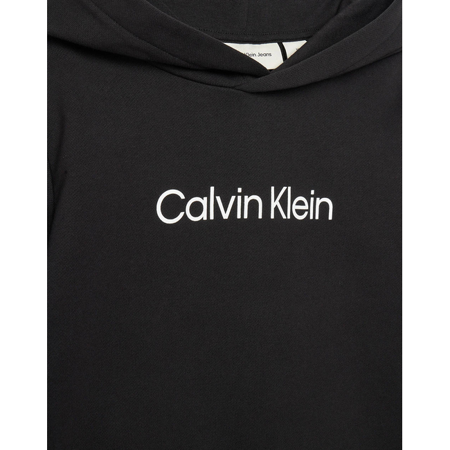 Product CALVIN KLEIN JEANS INST. LOGO REG. TERRY HOODIE base image