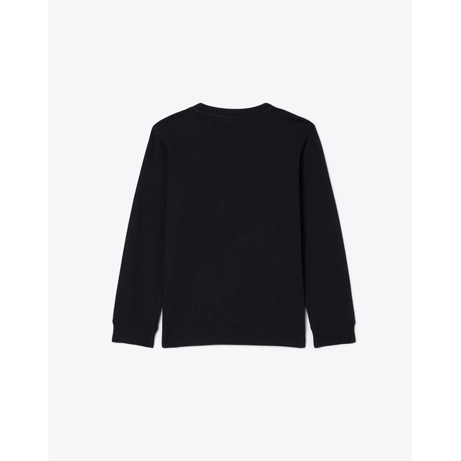 Product LACOSTE ΜΠΛΟΥΖΑ ΜΜ ICON CORE L/S TEE base image