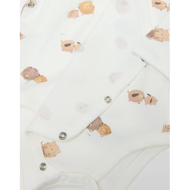 Product OVS PK2 BODY ML base image